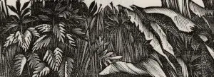 August - Bracken
