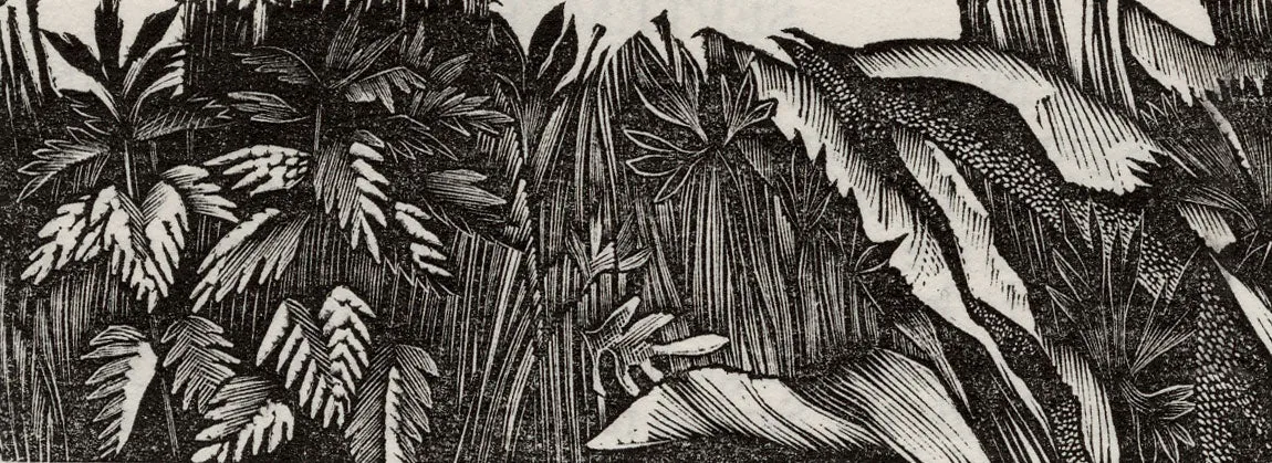 August - Bracken