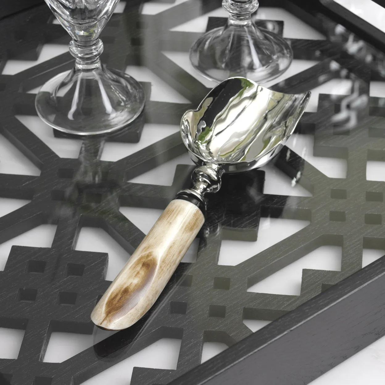 Caribbean Chic Ice Scoop