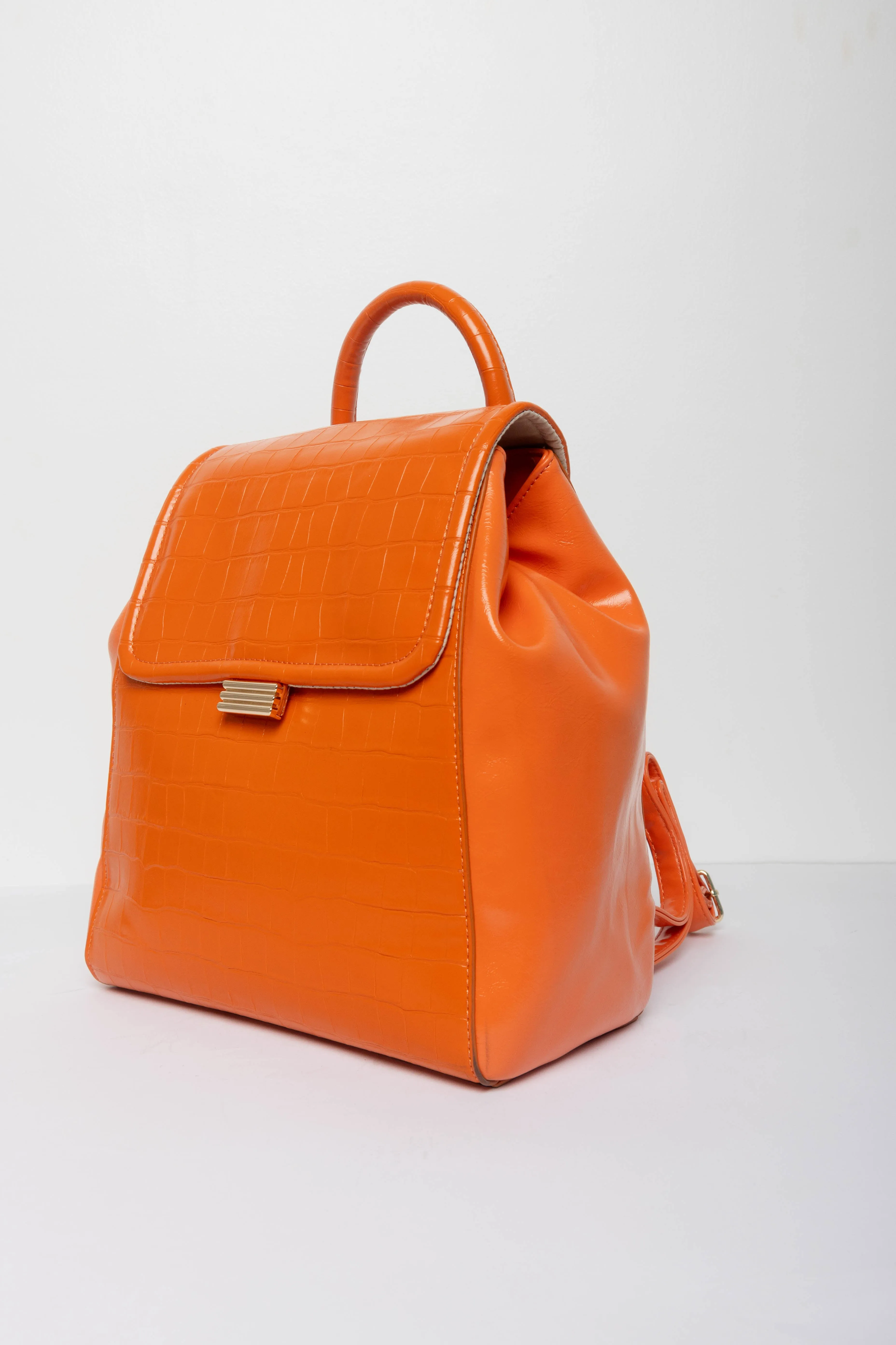 Chic Carryall Bag