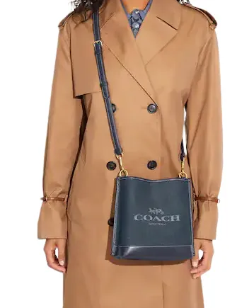 Coach Mollie Bucket Bag 22 With Coach