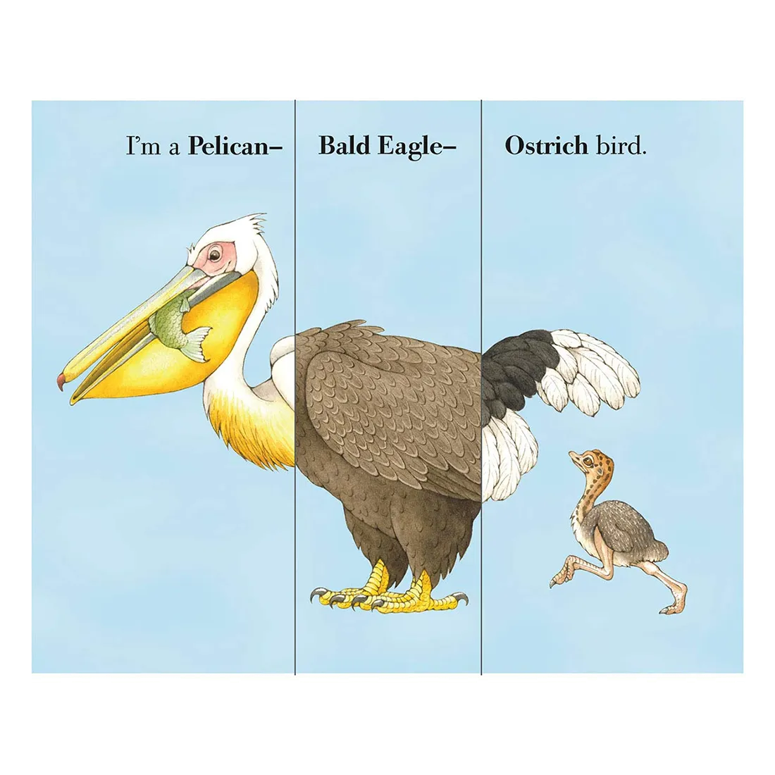 Flip-A-Feather