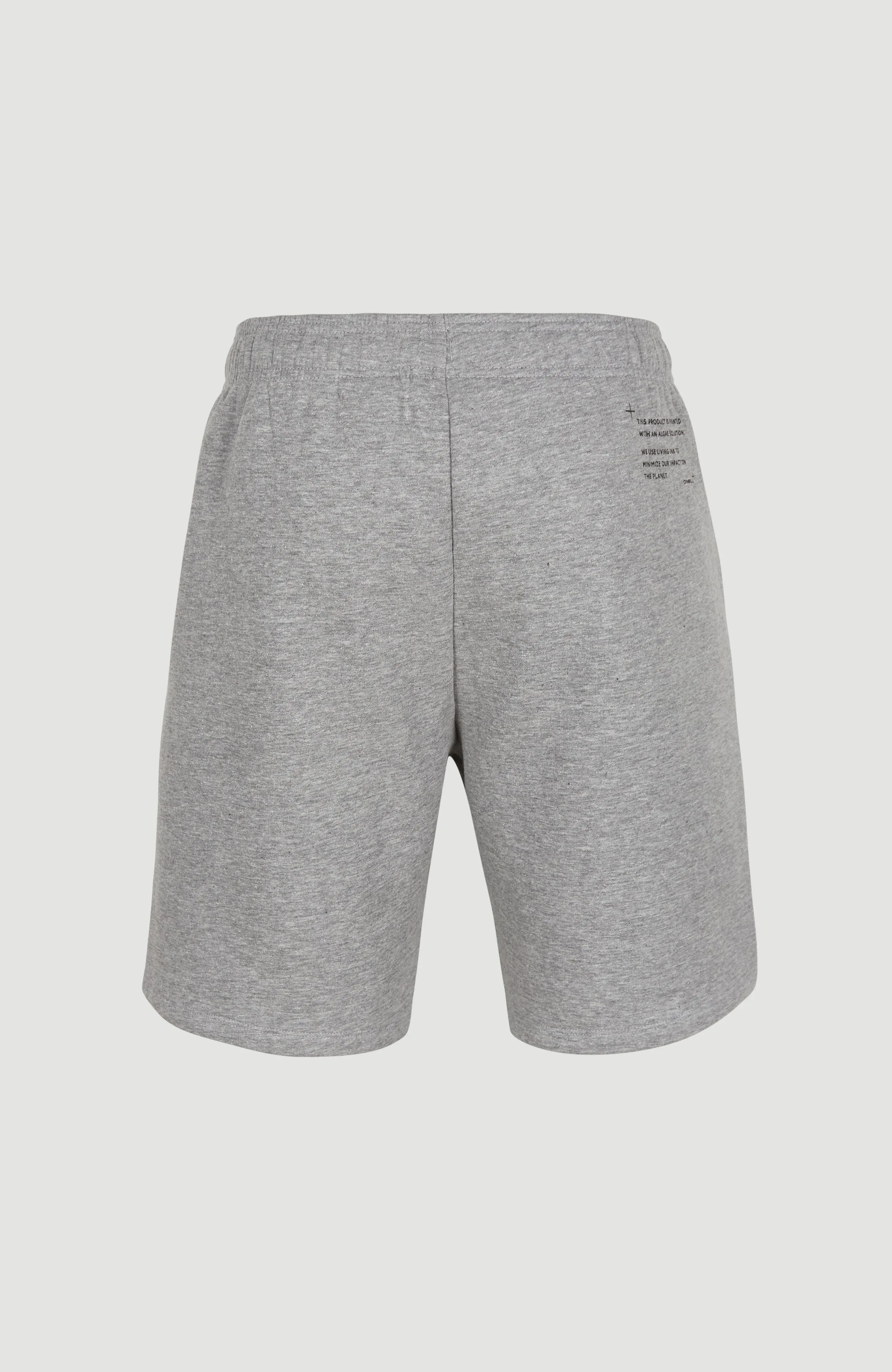 Future Surf Sweatshorts | Silver Melee