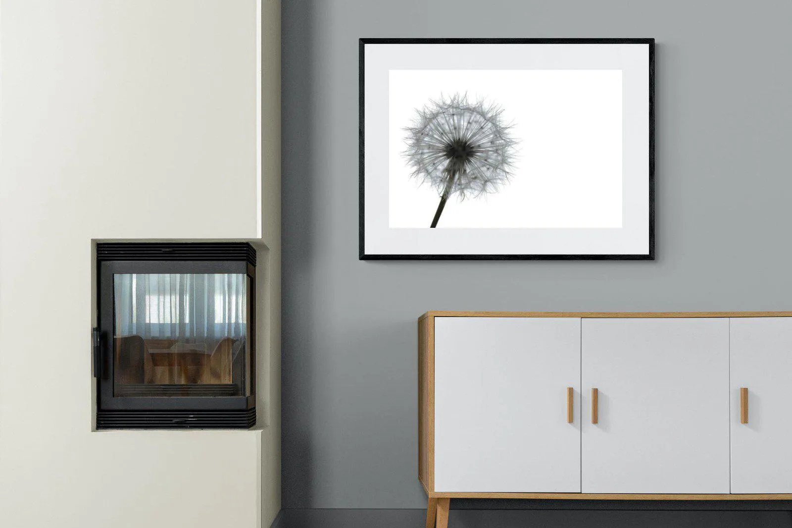 Grey Dandelion