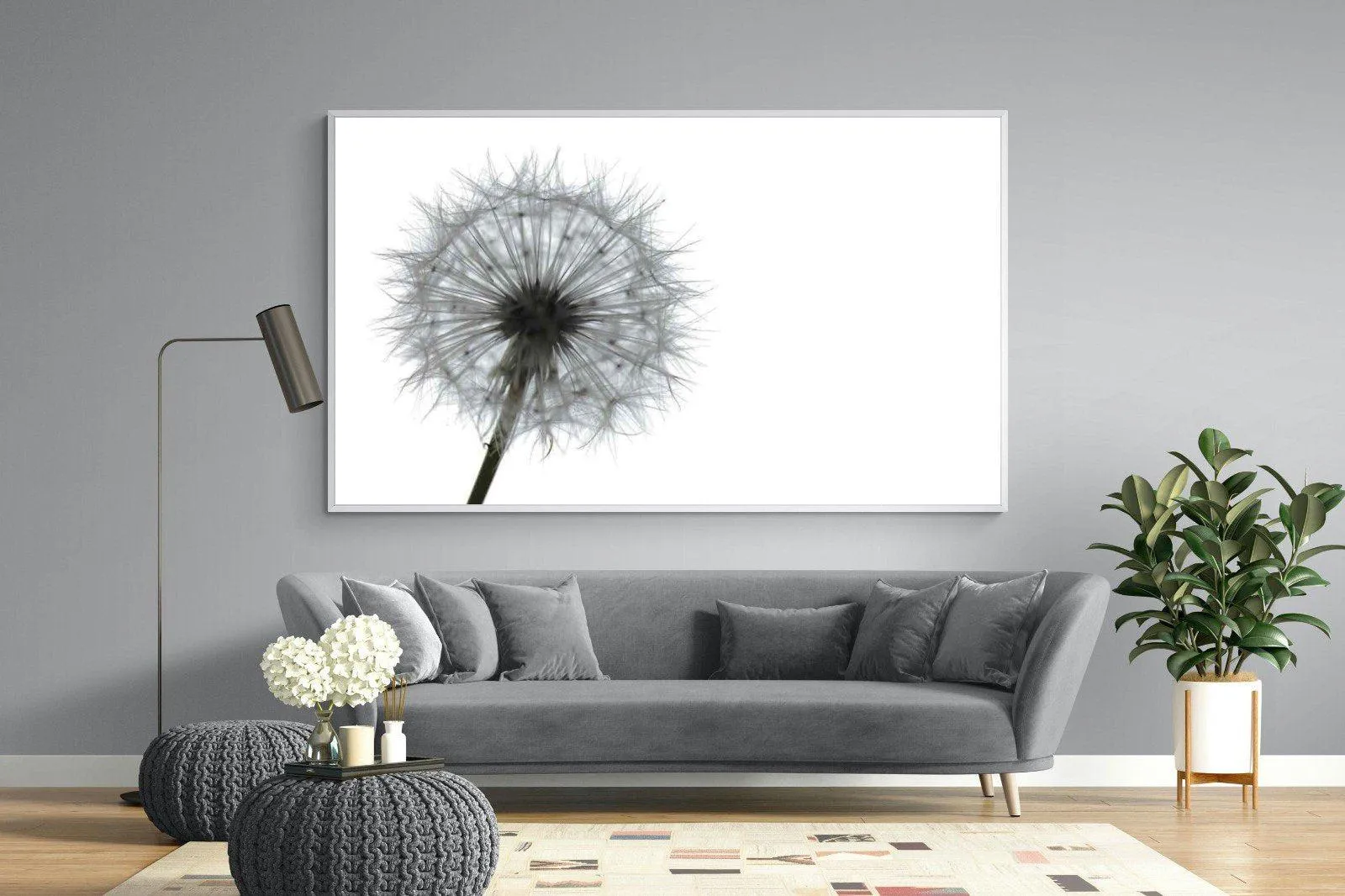 Grey Dandelion
