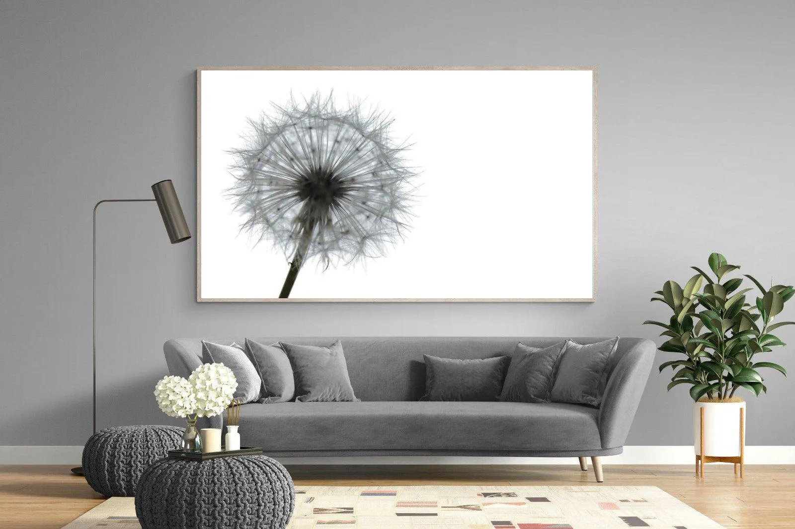 Grey Dandelion