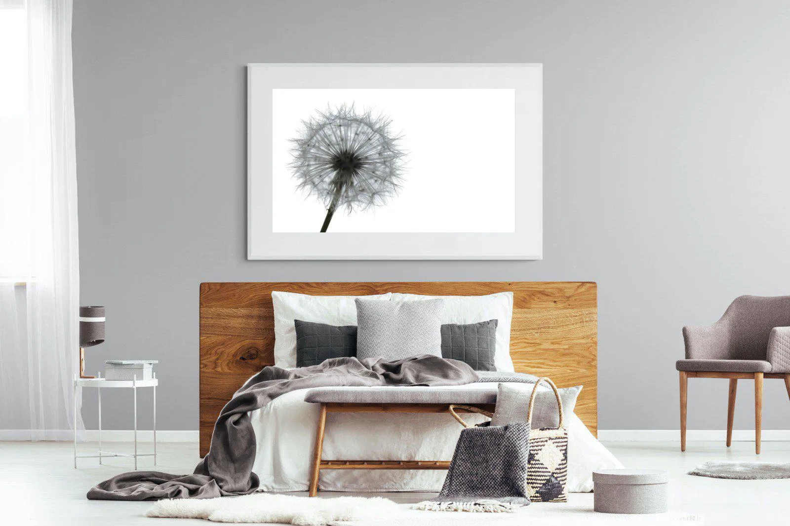 Grey Dandelion