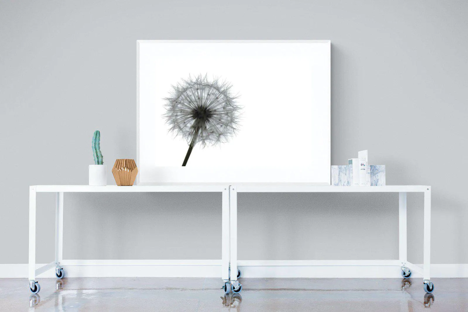 Grey Dandelion