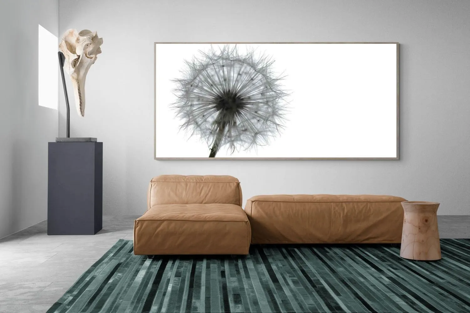 Grey Dandelion