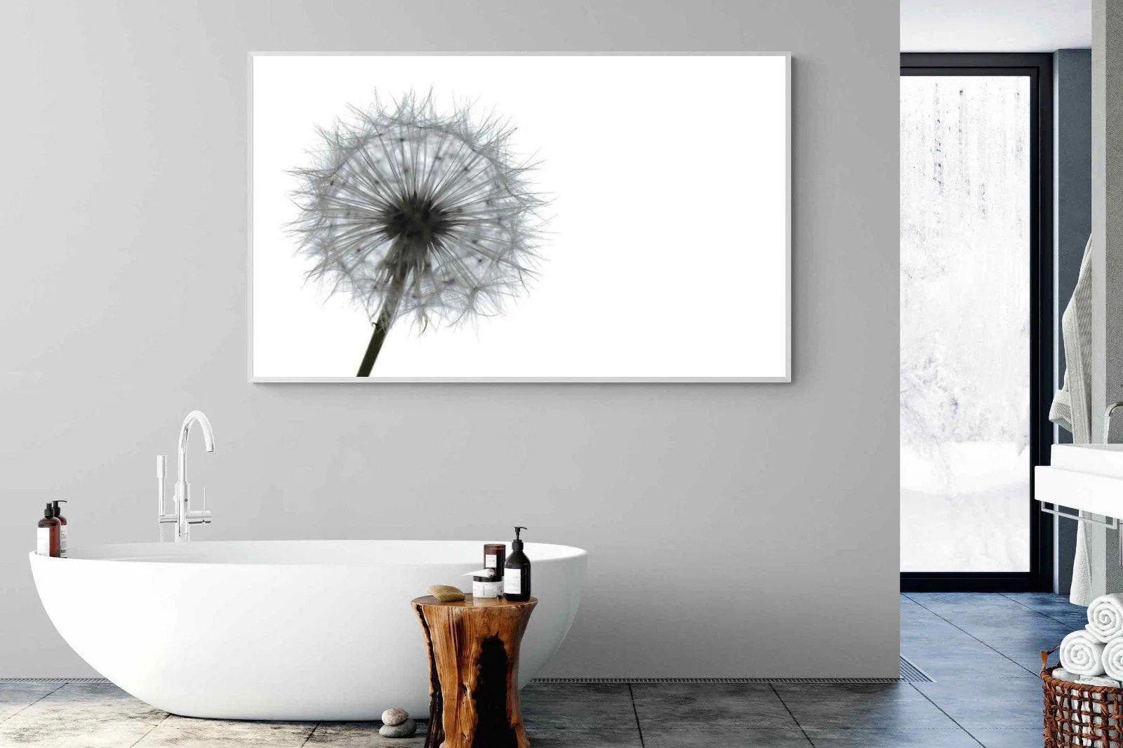 Grey Dandelion