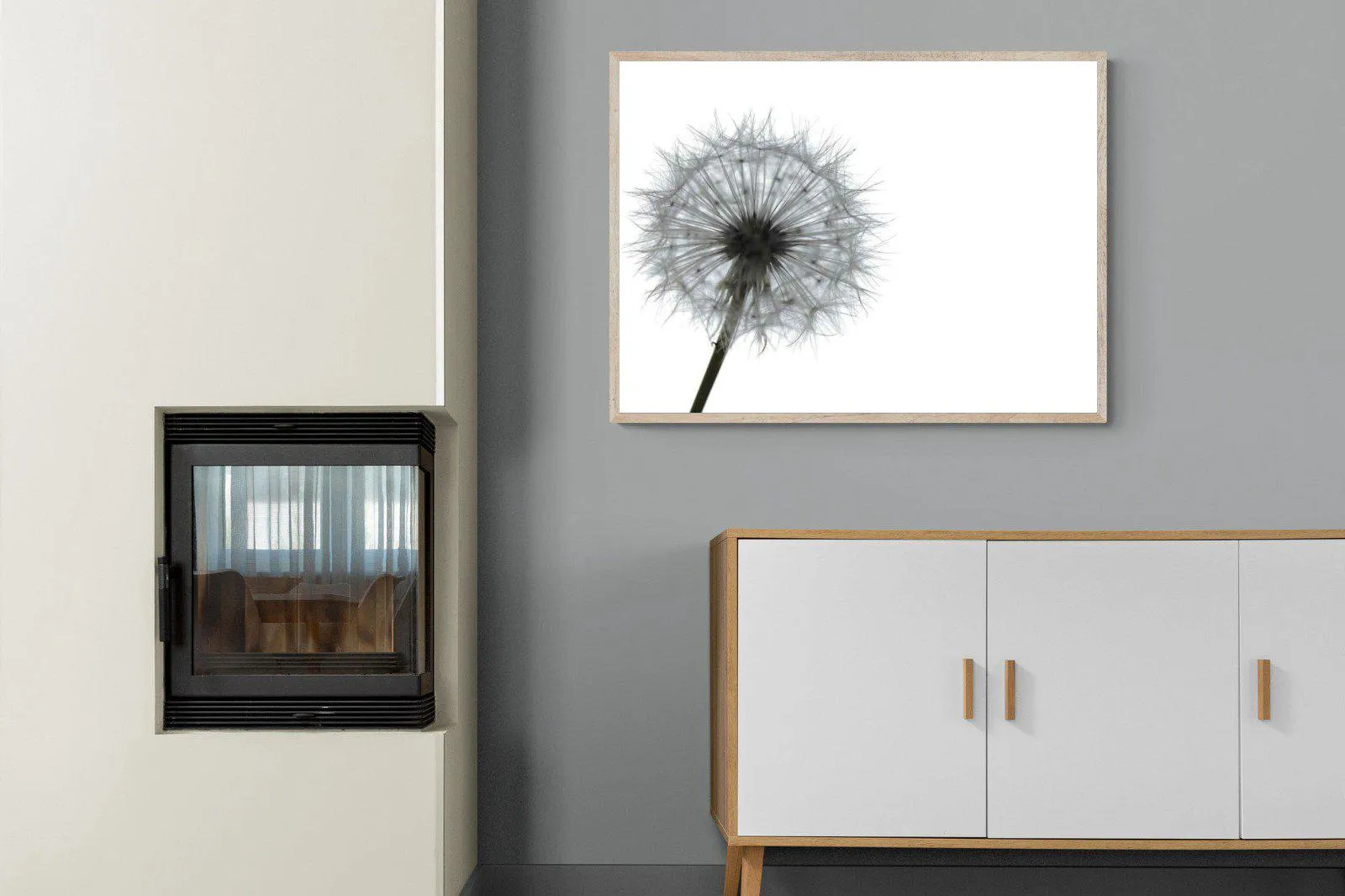 Grey Dandelion