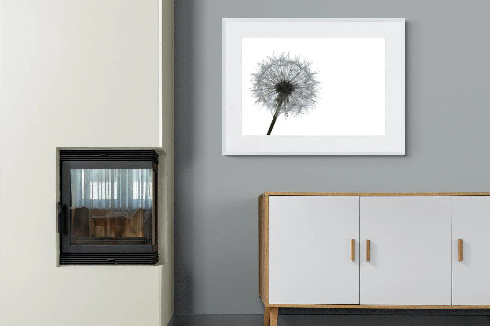Grey Dandelion