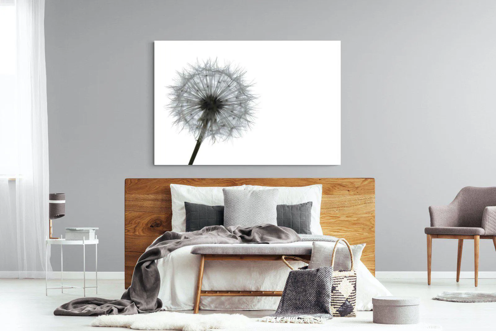 Grey Dandelion