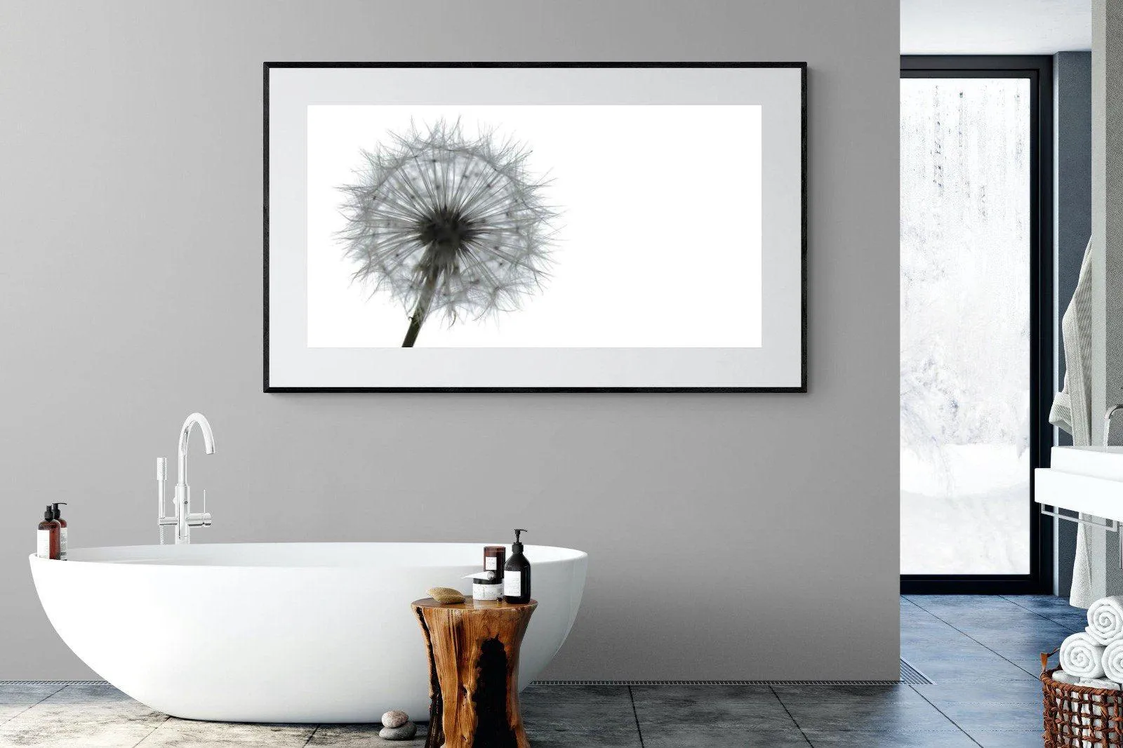 Grey Dandelion