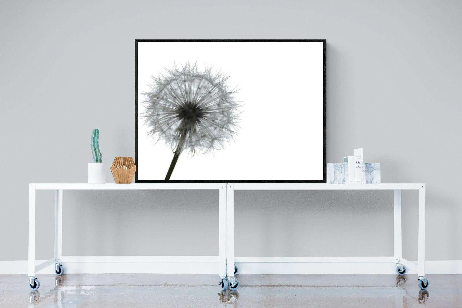 Grey Dandelion