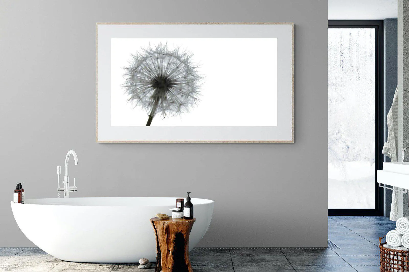 Grey Dandelion