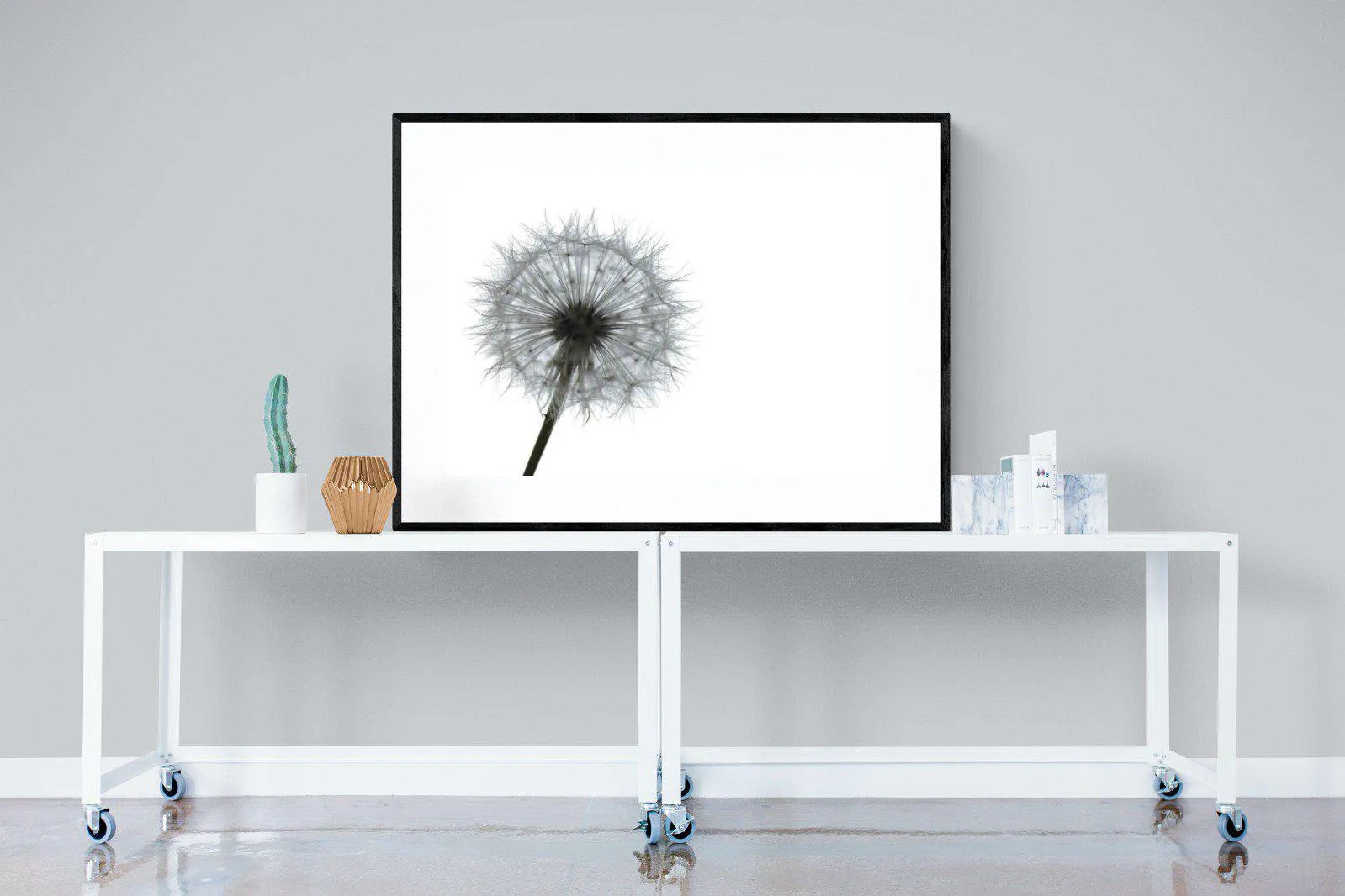Grey Dandelion
