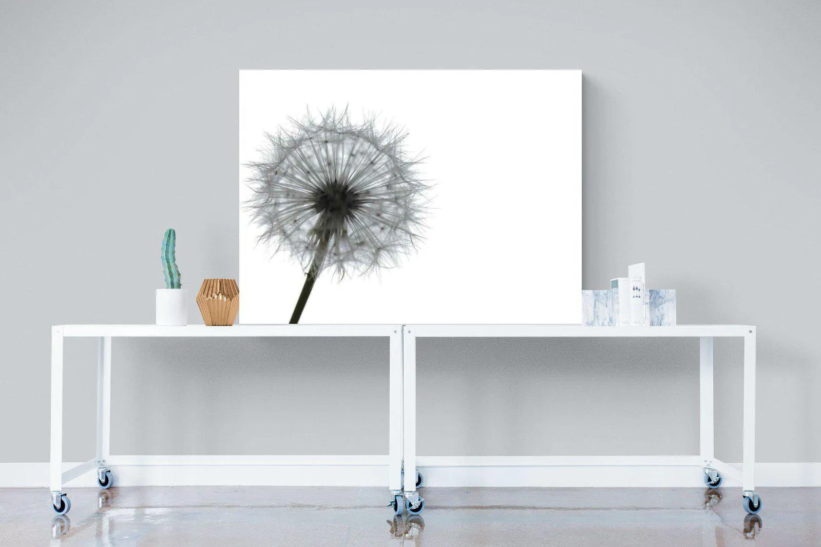 Grey Dandelion