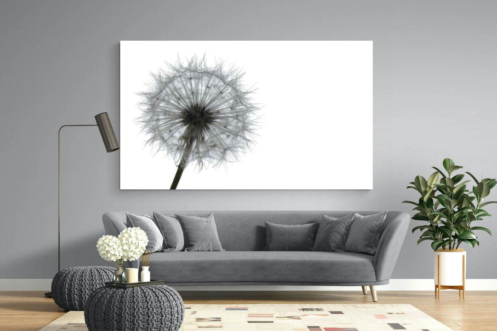 Grey Dandelion