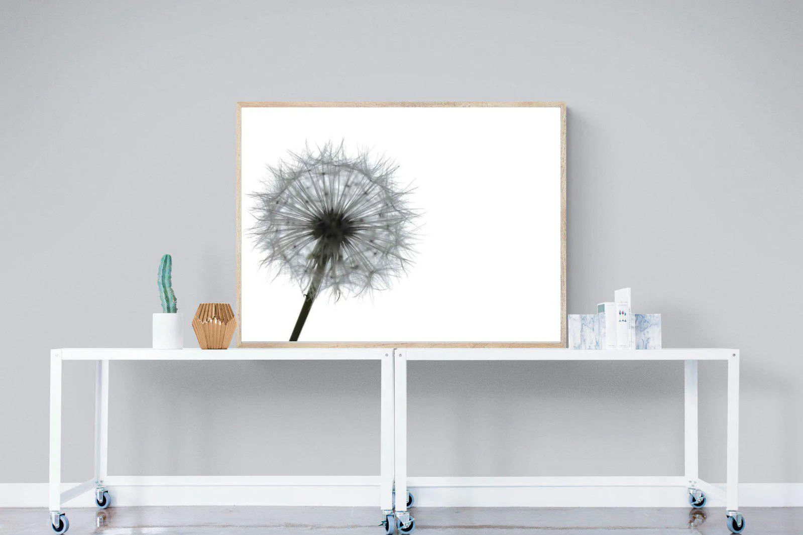 Grey Dandelion