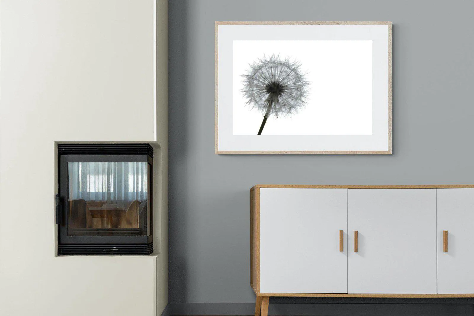 Grey Dandelion