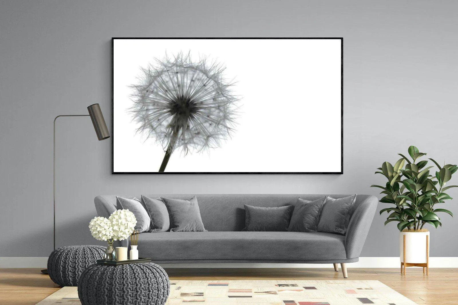 Grey Dandelion