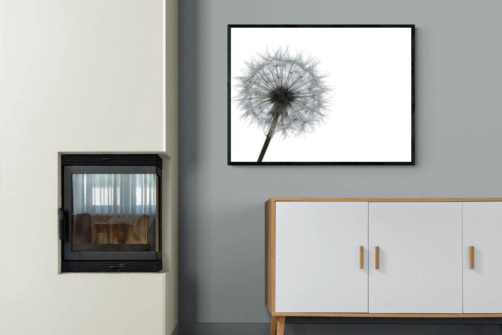 Grey Dandelion