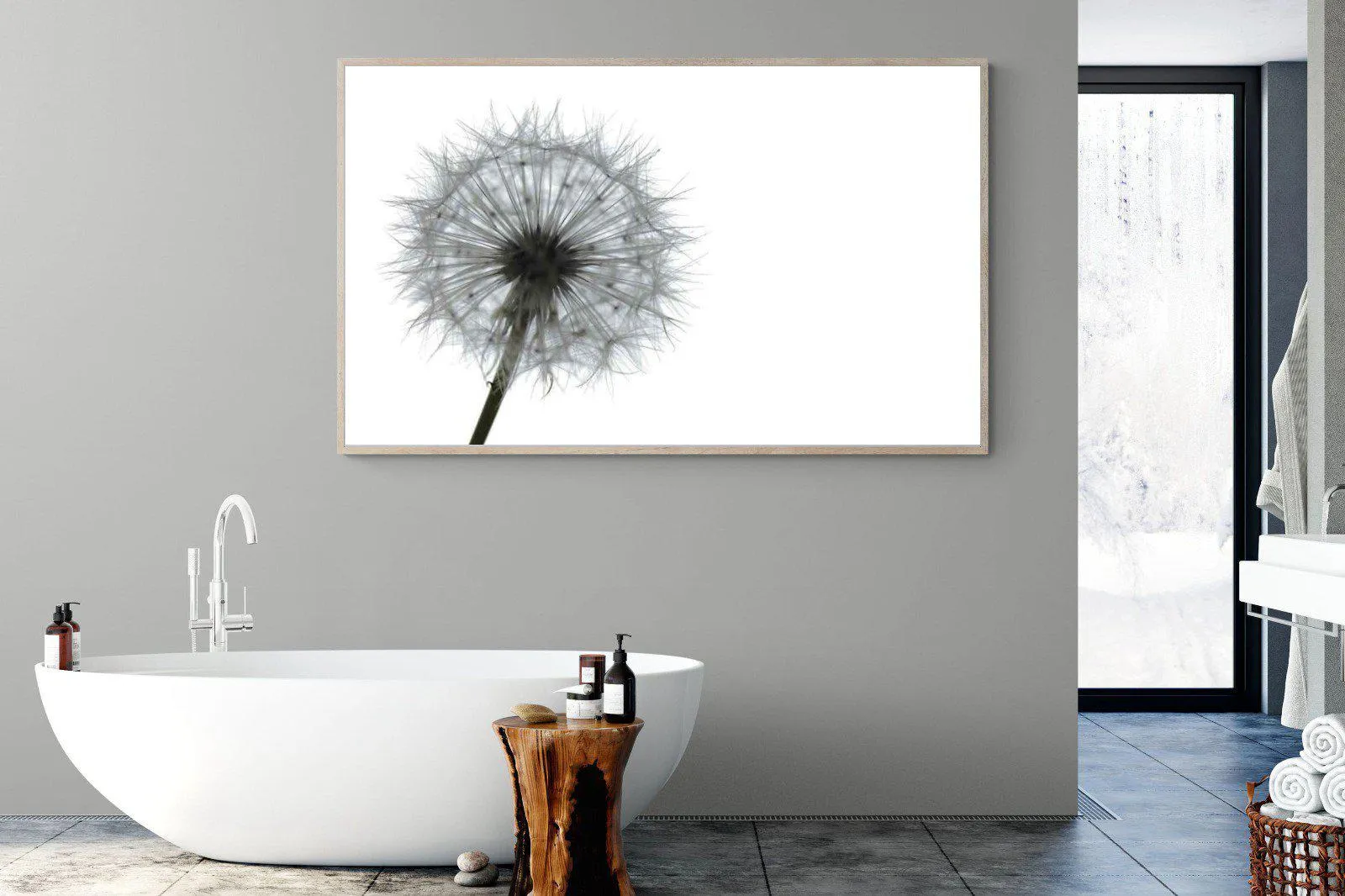 Grey Dandelion
