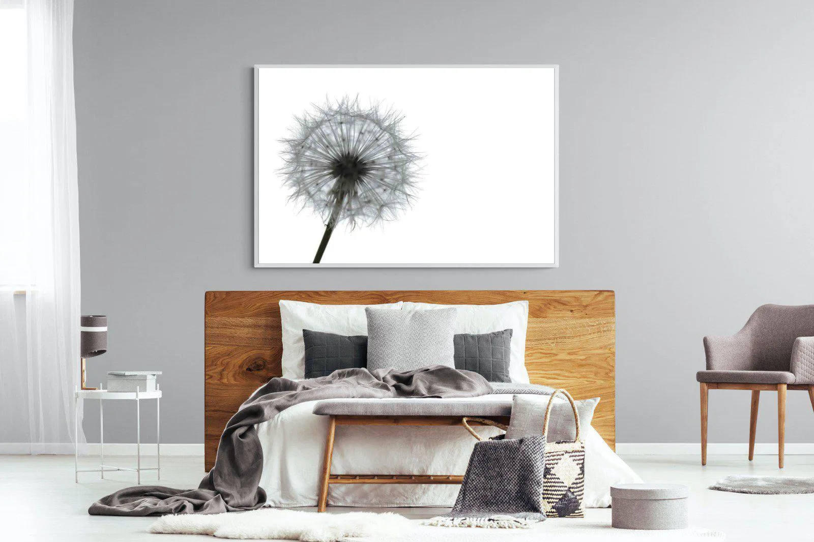 Grey Dandelion