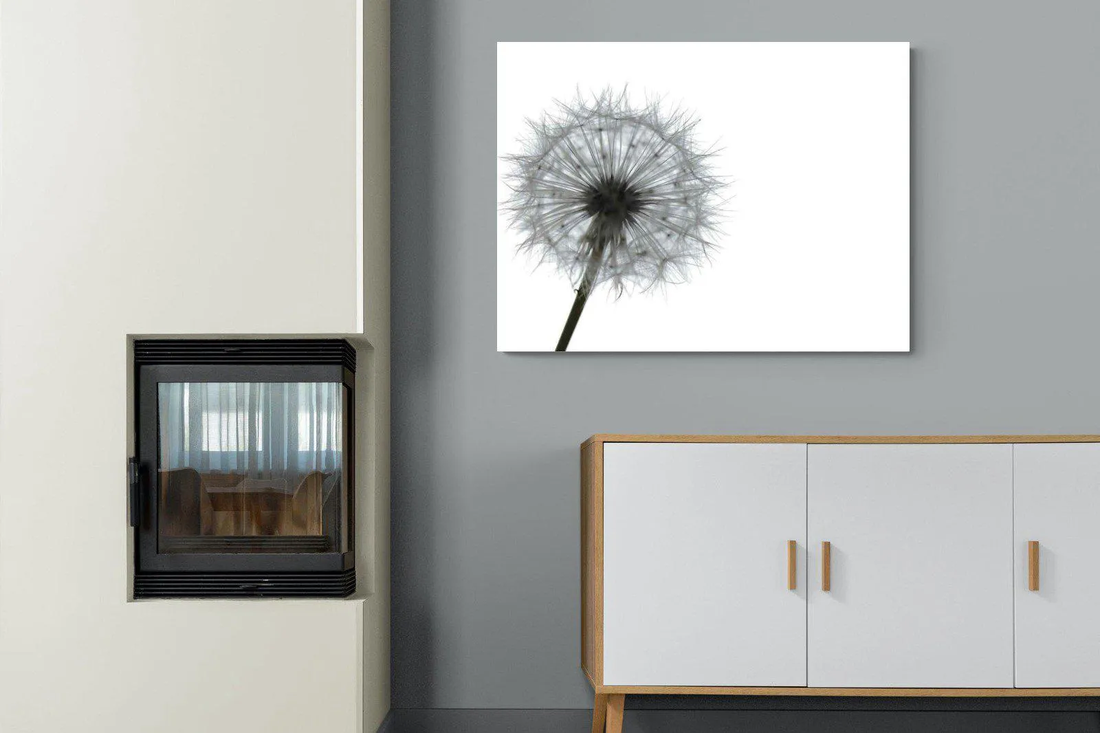 Grey Dandelion