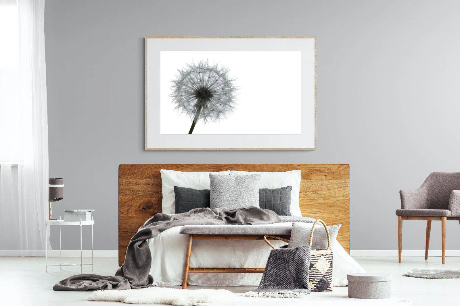 Grey Dandelion