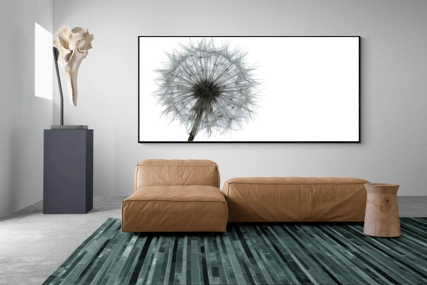 Grey Dandelion