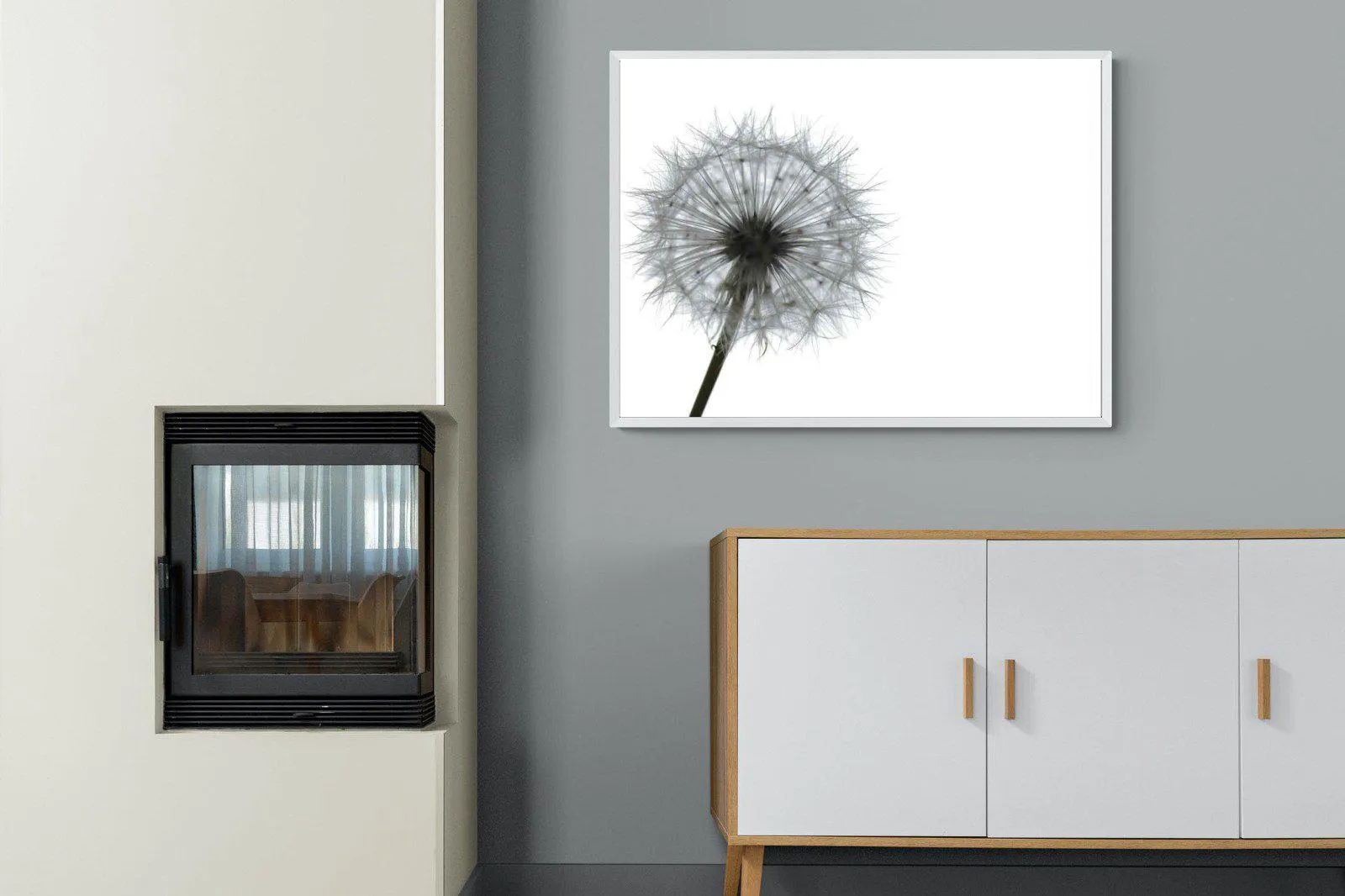Grey Dandelion