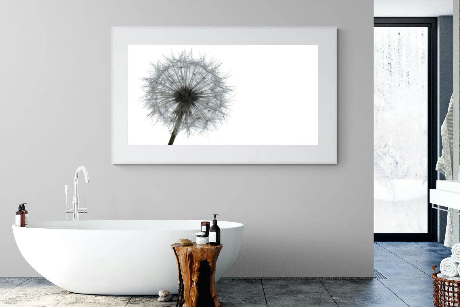 Grey Dandelion