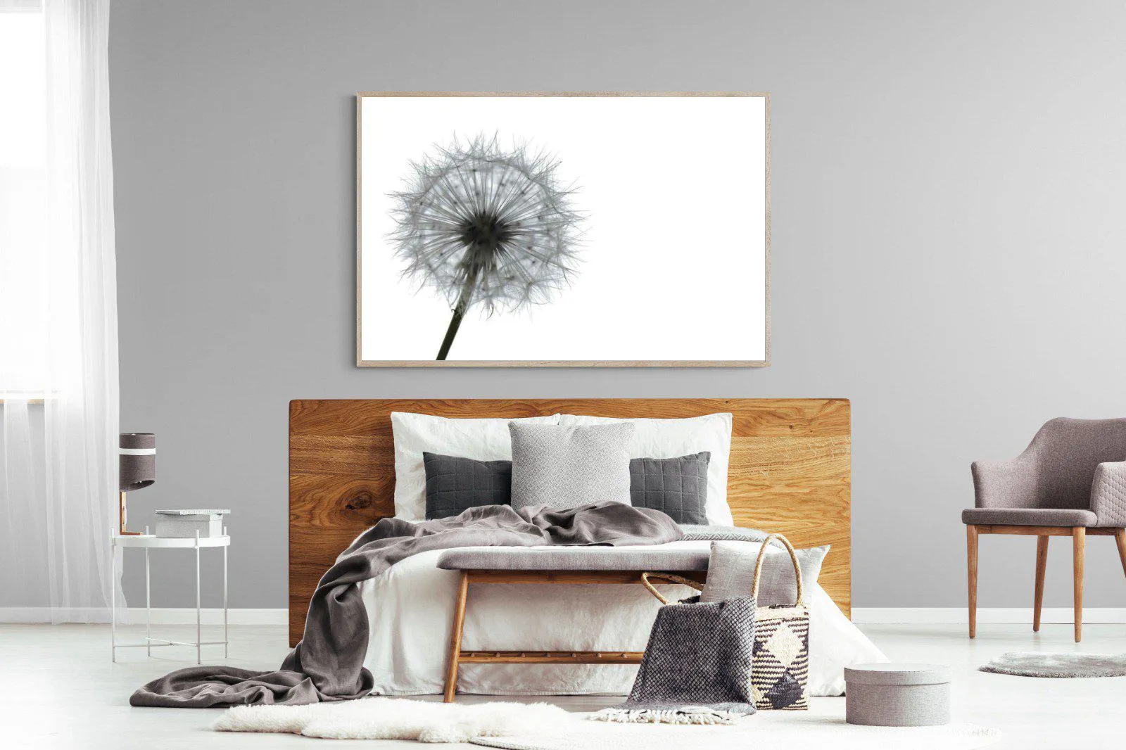 Grey Dandelion