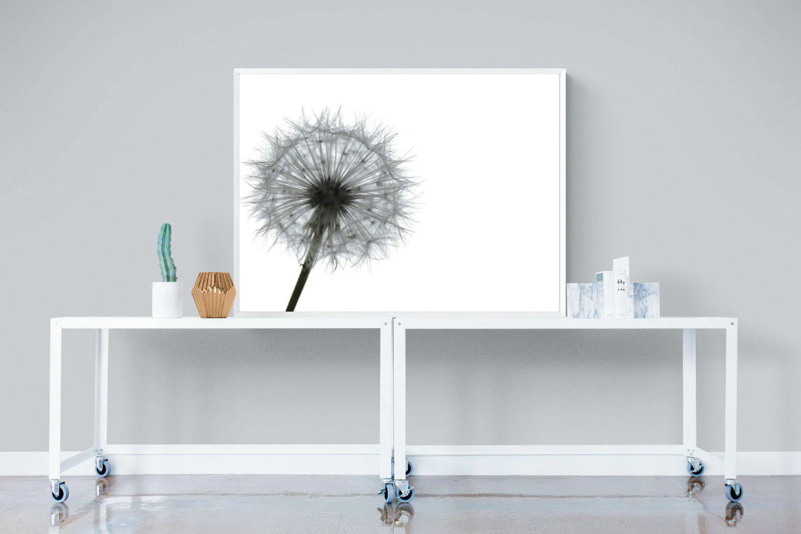Grey Dandelion