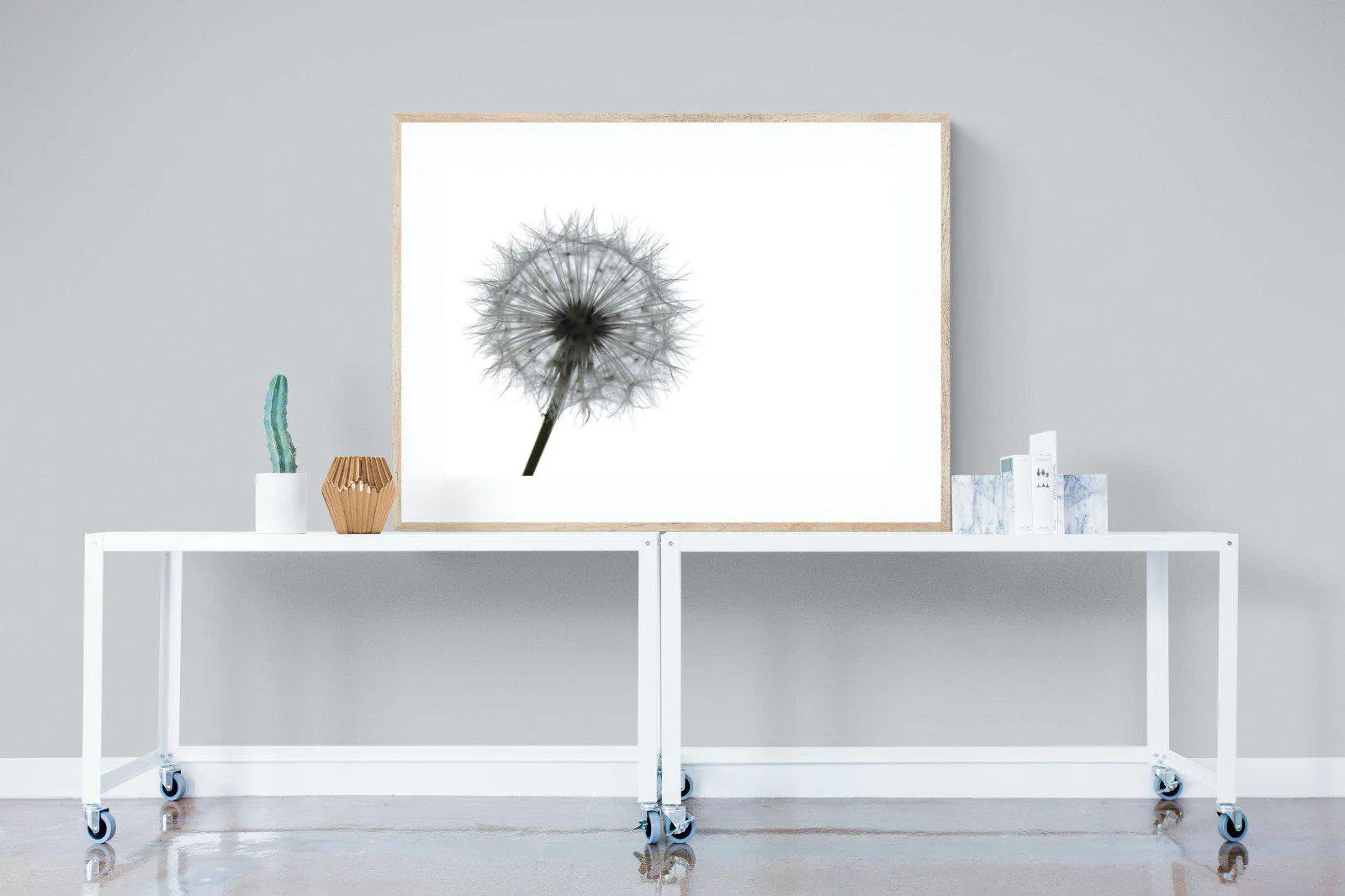 Grey Dandelion
