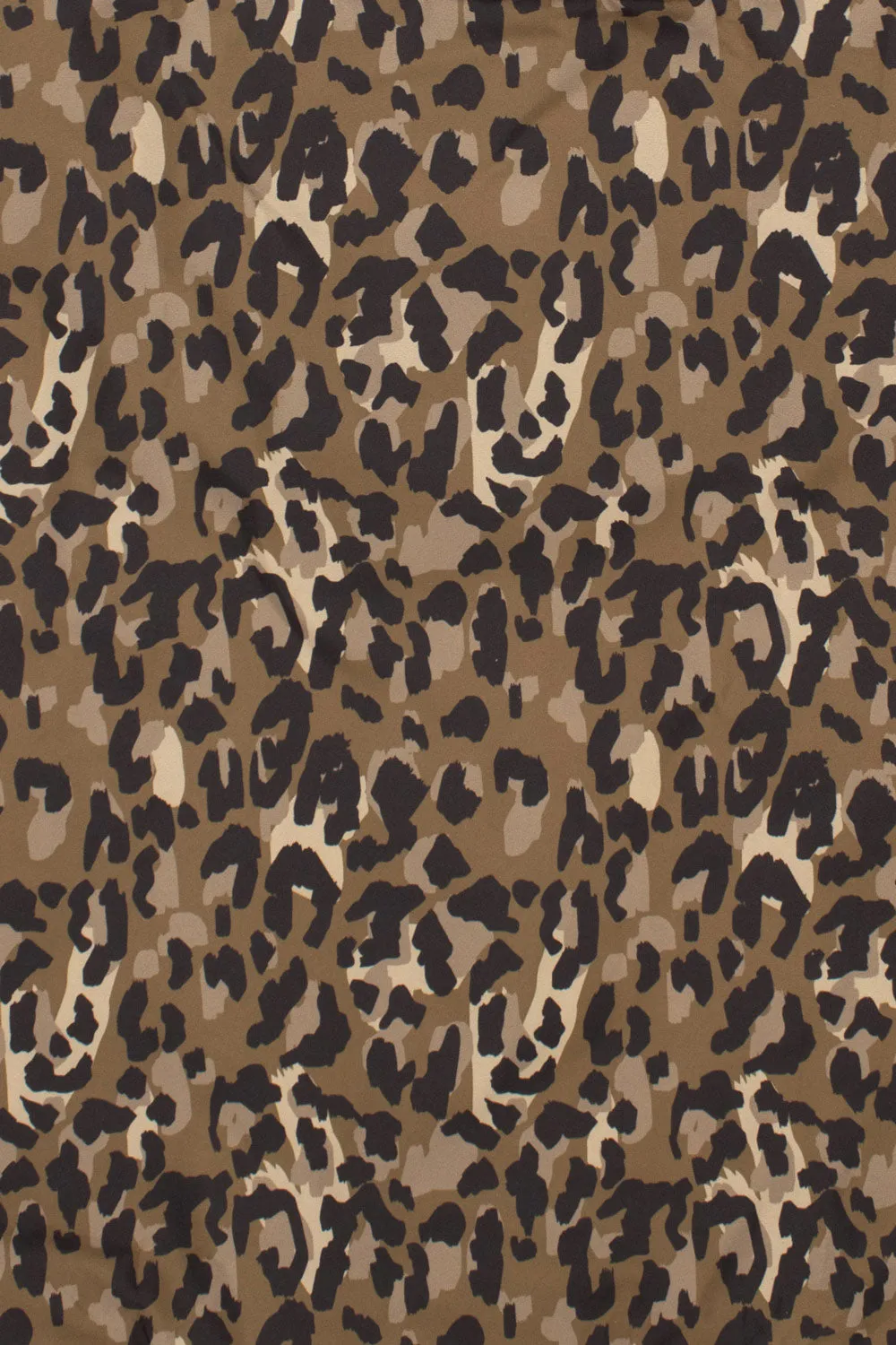 Leopard | Medium