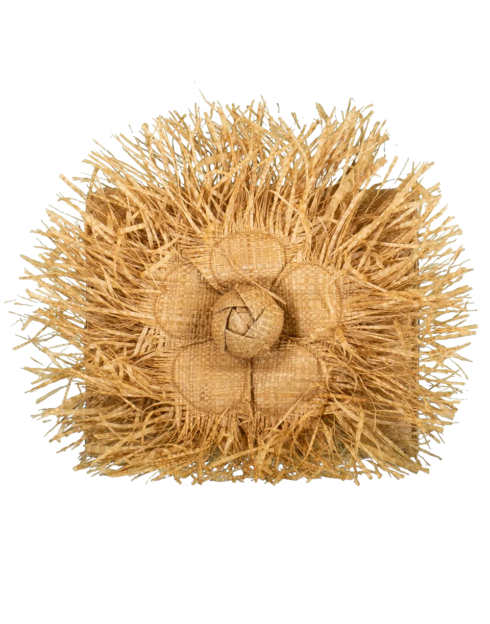 Mini Tro Crossbody Raffia Bag