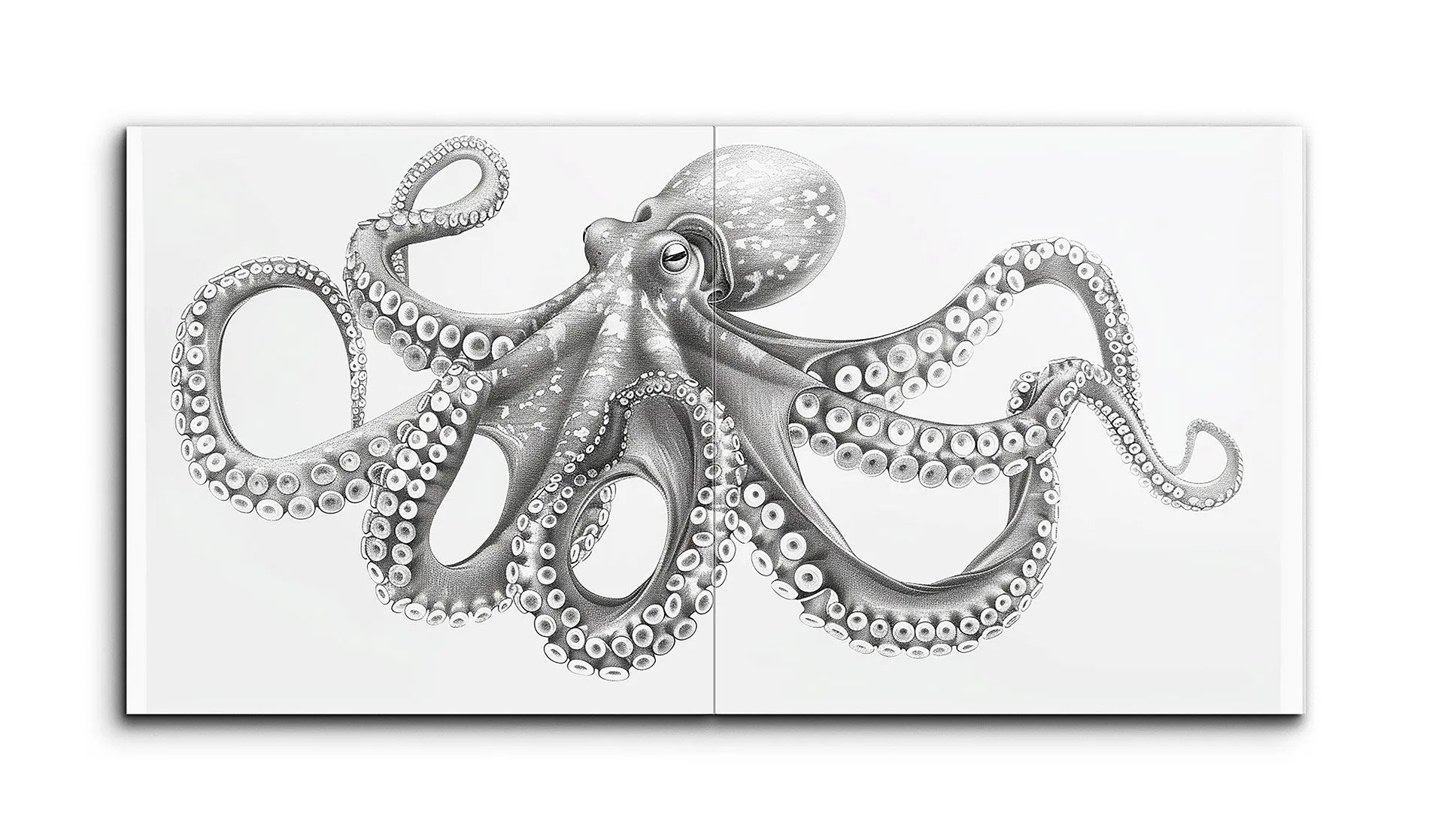 Monochrome Octopus Elegance