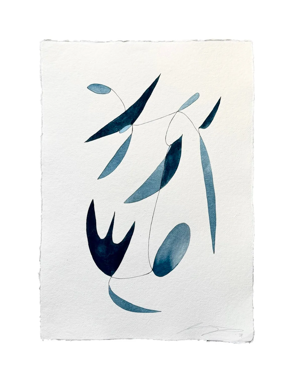 "Indigo Bloom 114"