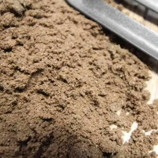 Rootzone Sand and Soil Mix Sample