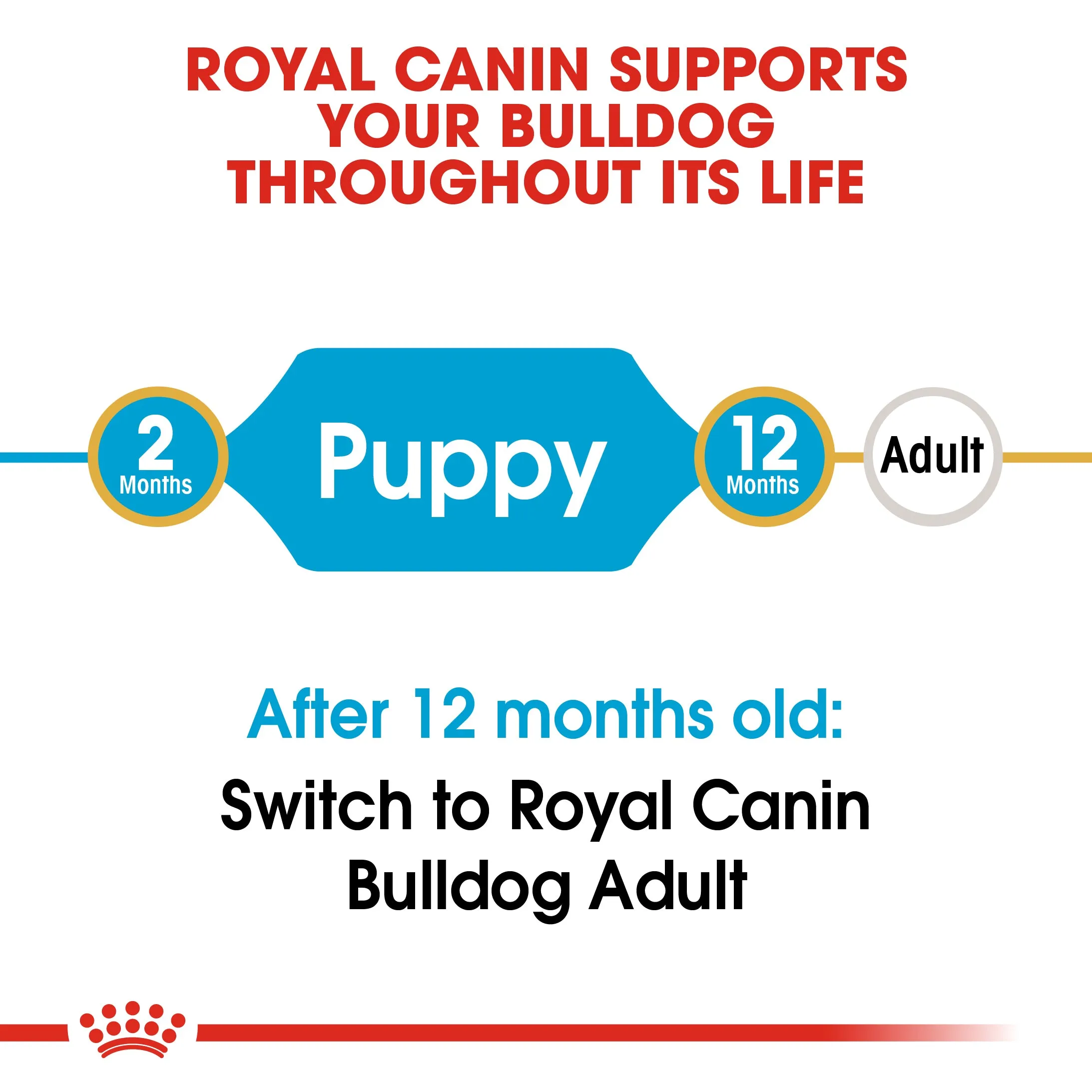Royal Canin - Bulldog - Puppy/Junior