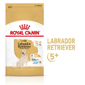 Royal Canin Labrador Retriever Adult 5  12kg