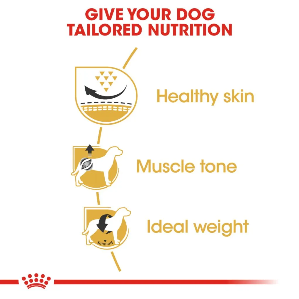 Royal Canin Pug Adult