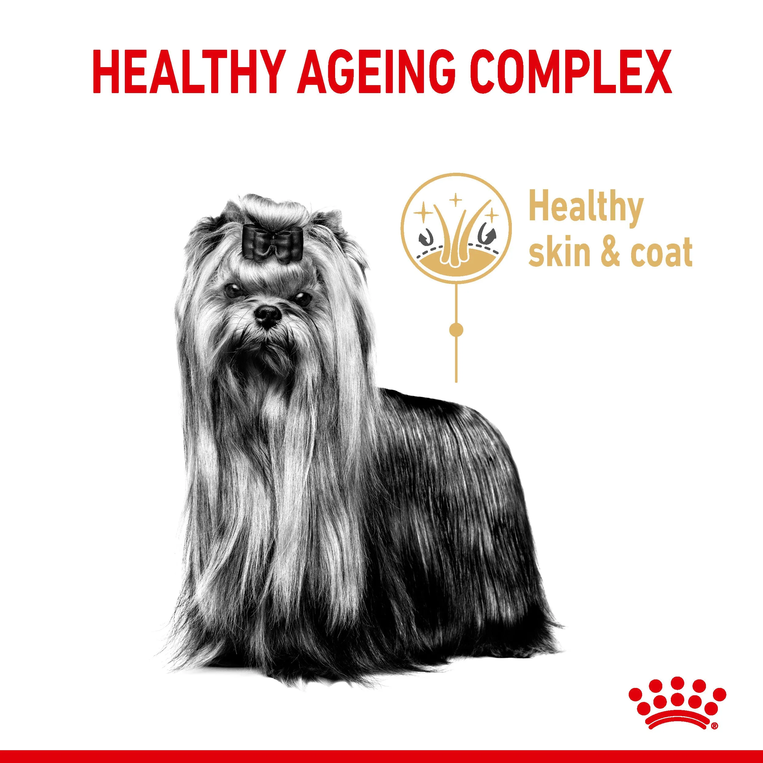 Royal Canin Yorkshire Terrier Adult  8 1.5kg