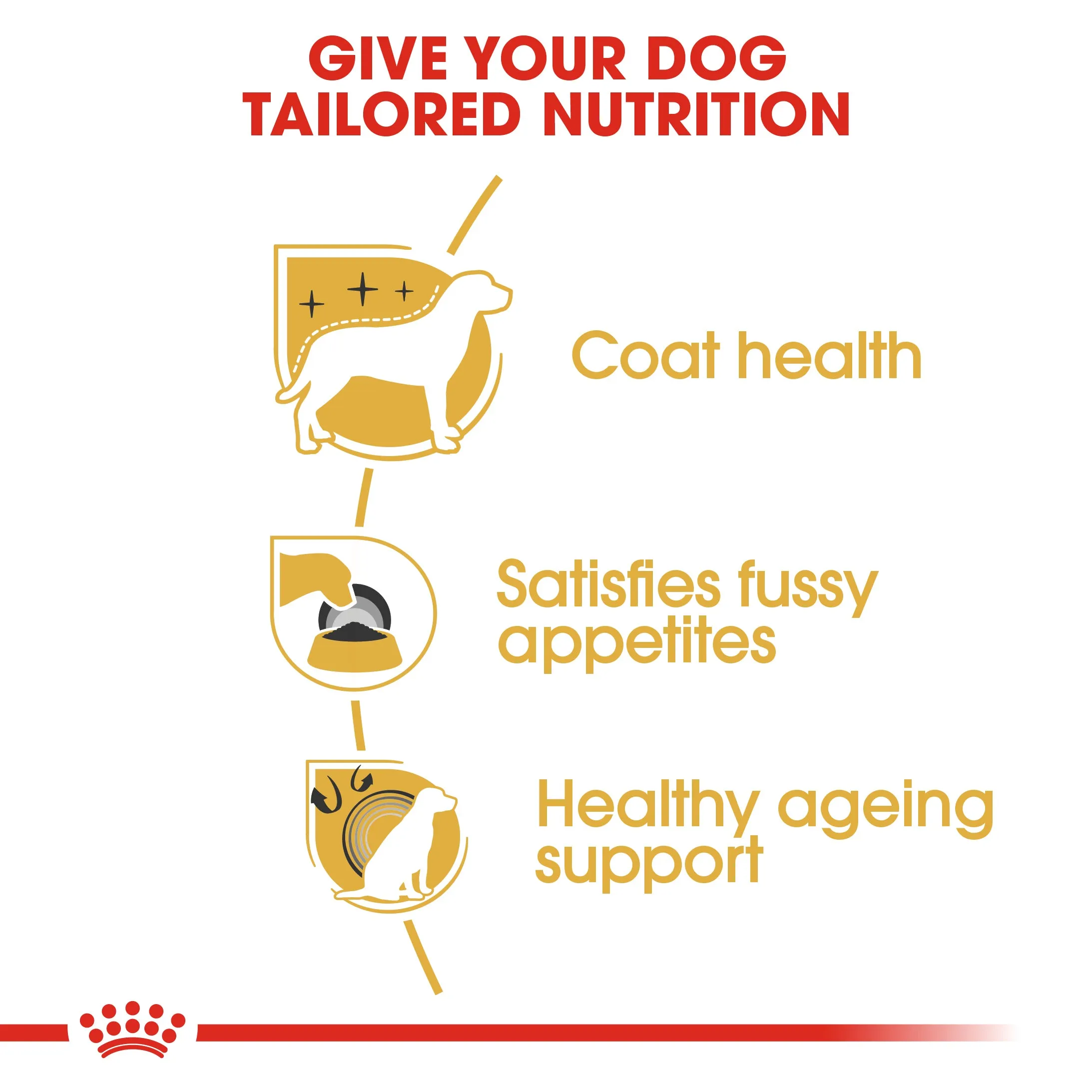 Royal Canin Yorkshire Terrier Adult