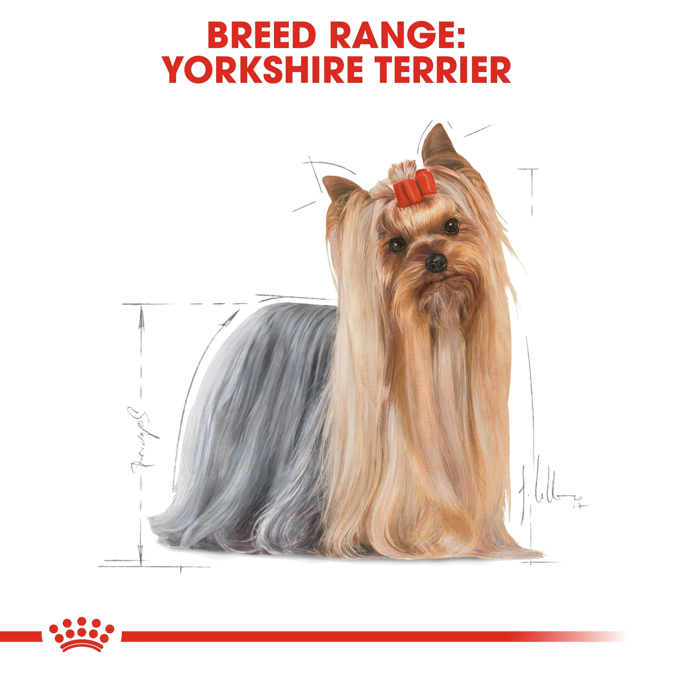 Royal Canin Yorkshire Terrier Adult