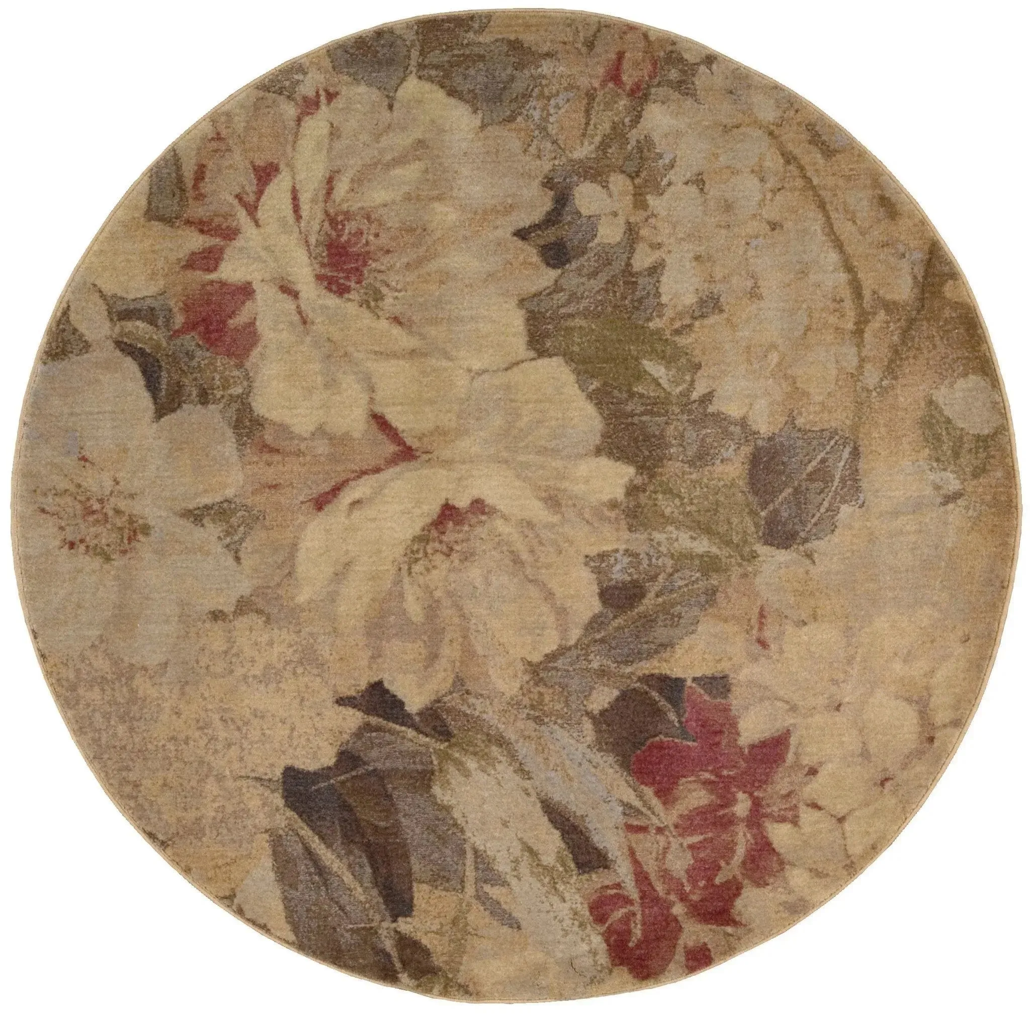 Somerset ST83 Multi Color Rug