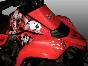 Suzuki LT 80 (1987-2006) Graphics